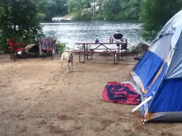 Guests enjoying a waterfront campsite setup with a tent and dog at Barrington Shores