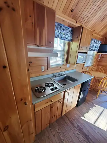 Deluxe Cabin kitchenette equipped with a 2-burner gas cooktop, microwave, sink, and compact refrigerator