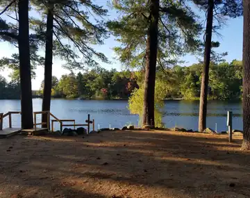 Wooded lakefront campsite 106 featuring tall pines, electrical hookups, and a scenic view of Swains Lake