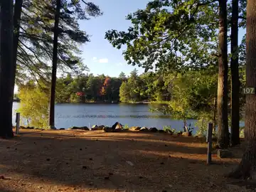 Wooded lakefront campsite 107 featuring electrical hookups and scenic views of Swains Lake
