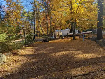 Elevated wooded campsite 114 situated just above the beach area